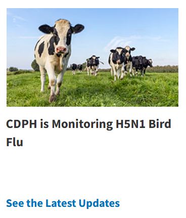 CDPH H5N1