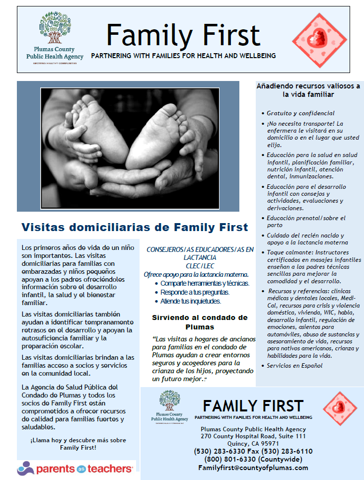 Family First Home Visting Flyer Spanish 7.22.25